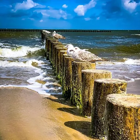 Fabryka Wspomnien - Letniskowe Nad Morzem Apartment